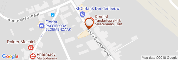 horaires Dentiste DENDERLEEUW 