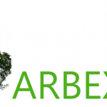 Elagage et abattage arbres Arbexpert SRL Ellezelles