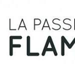 Solutions de chauffage La Passion des Flammes Mons