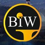 Webdesigner Biw Agency - Best Imaging Web